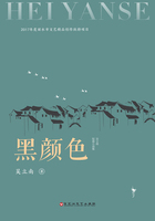 黑颜色在线阅读