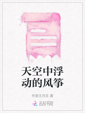 天空中浮动的风筝在线阅读