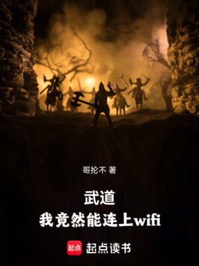 武道，我竟然能连上wifi在线阅读