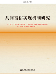 共同富裕實(shí)現(xiàn)機(jī)制研究