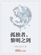 孤独者,黎明之剑在线阅读