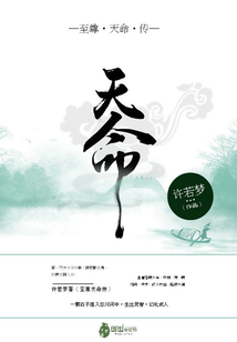 至尊天命傳
