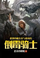 最強的魔法帝與最弱的倒霉騎士在線閱讀