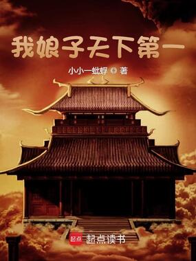 我娘子天下第一在线阅读