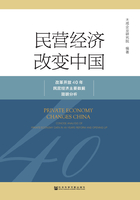 民营经济改变中国：改革开放40年民营经济主要数据简明分析在线阅读