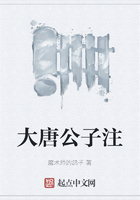 大唐公子注在線閱讀