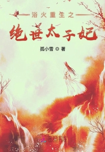 浴火重生之絕世太子妃