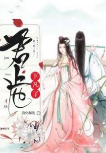 君上他下凡了