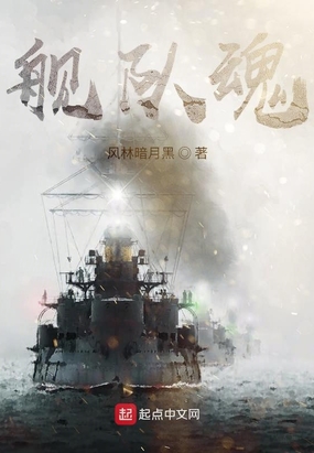 舰队魂在线阅读