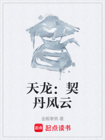 天龍：契丹風(fēng)云