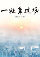 一粒粟過場在線閱讀