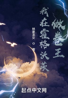 我在霍格沃茨做卷王在线阅读