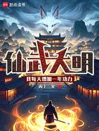 仙武大明：我每天增加一年功力