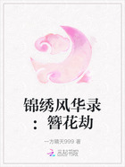 锦绣风华录:簪花劫在线阅读