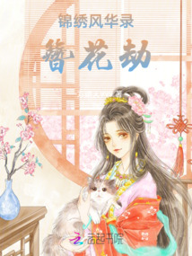 錦繡風(fēng)華錄：簪花劫