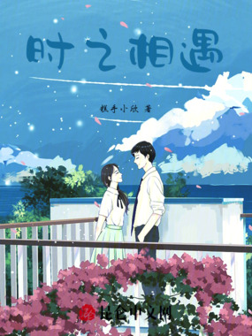时之相遇在线阅读