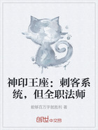 神印王座:刺客系统,但全职法师在线阅读