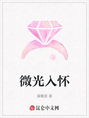 微光入怀在线阅读