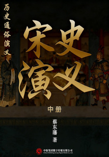 历史通俗演义：宋史演义（中）