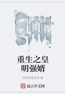重生之皇明強婿