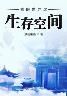 我的世界之生存空間
