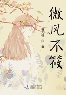 微風不筱