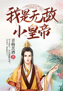 我是无敌小皇帝 cover