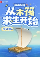 海洋纪元:从木筏求生开始