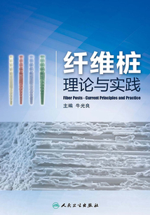 纖維樁理論與實踐