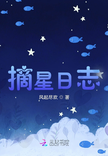 摘星日志