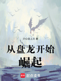 從盤龍開始崛起