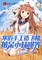 寒假手工造飛機，被呆小妹曝光在線閱讀