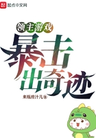 领主游戏:暴击出奇迹!在线阅读