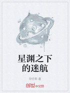 星渊之下的迷航在线阅读