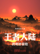 王者大陆的奇妙冒险在线阅读