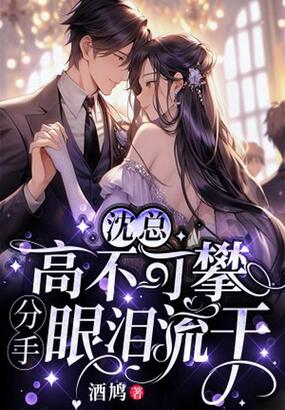 沈总高不可攀,分手眼泪流干在线阅读