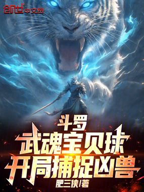 斗罗：武魂宝贝球，开局捕捉凶兽在线阅读