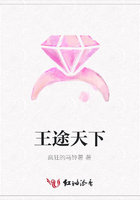 王途天下在線閱讀