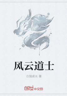 風云道士