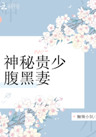 神秘貴少腹黑妻在線閱讀
