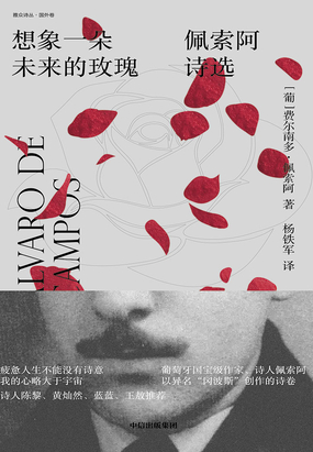 想象一朵未来的玫瑰：佩索阿诗选在线阅读