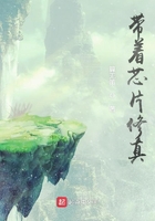 帶著芯片修真在線閱讀