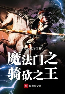 魔法門(mén)之騎砍之王