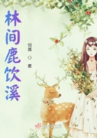 林間鹿飲溪在線閱讀