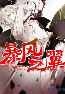 暴風之翼