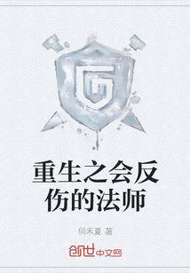 重生之會反傷的法師