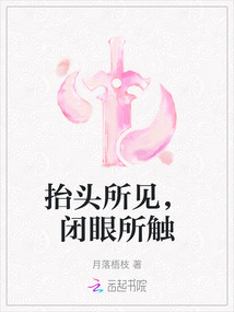 抬头所见，闭眼所触