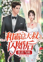 和霸总大叔闪婚后，我喜当妈在线阅读