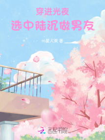 穿進光夜：選中陸沉做男友