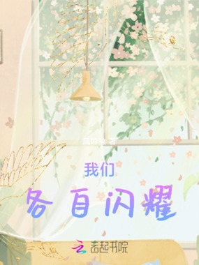 我们各自闪耀在线阅读